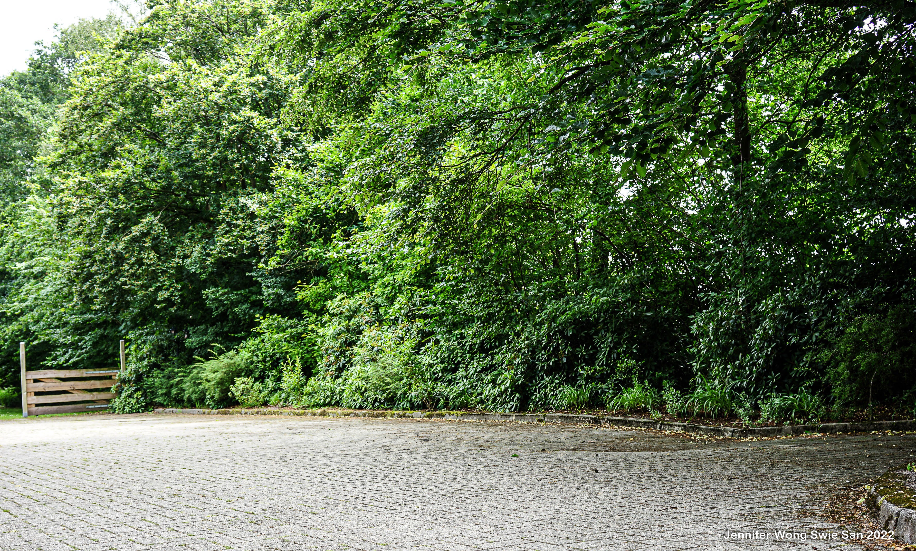 Parkachtig gazon van Wit Kerkje met kasseipad, grote bomen, bankje en dubbele groene lantaarnpalen